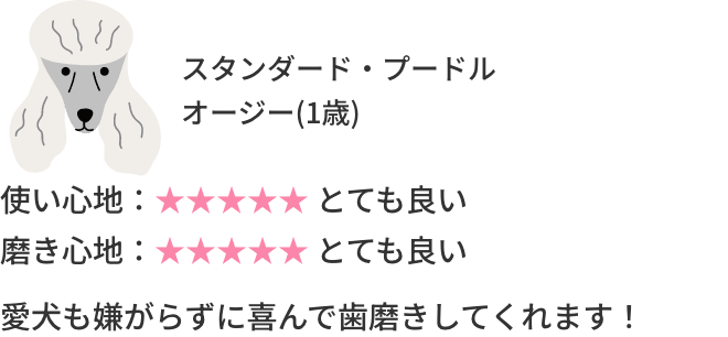 スタンダード・プードルのオージー1歳の使用感レビュー