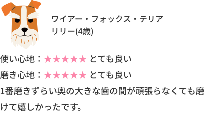 ワイアー・フォックス・テリアのリリー4歳の使用感レビュー